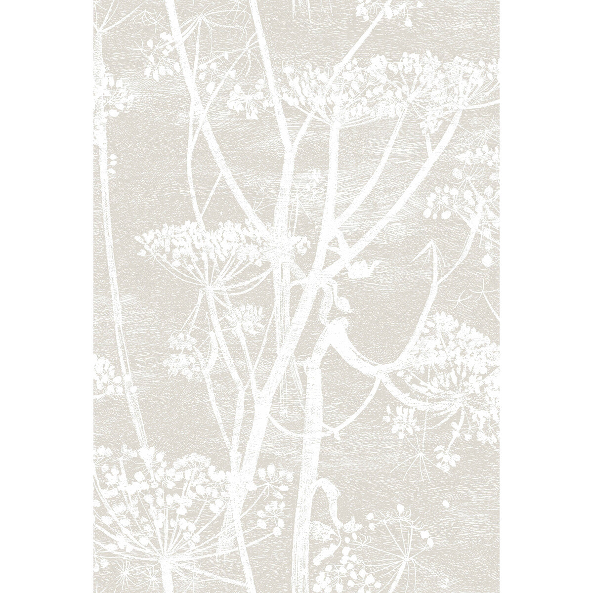 COLE & SON 95/9051.CS.0 COW PARSLEY LINEN/WHITE Wallpaper - Eade's Wallpaper