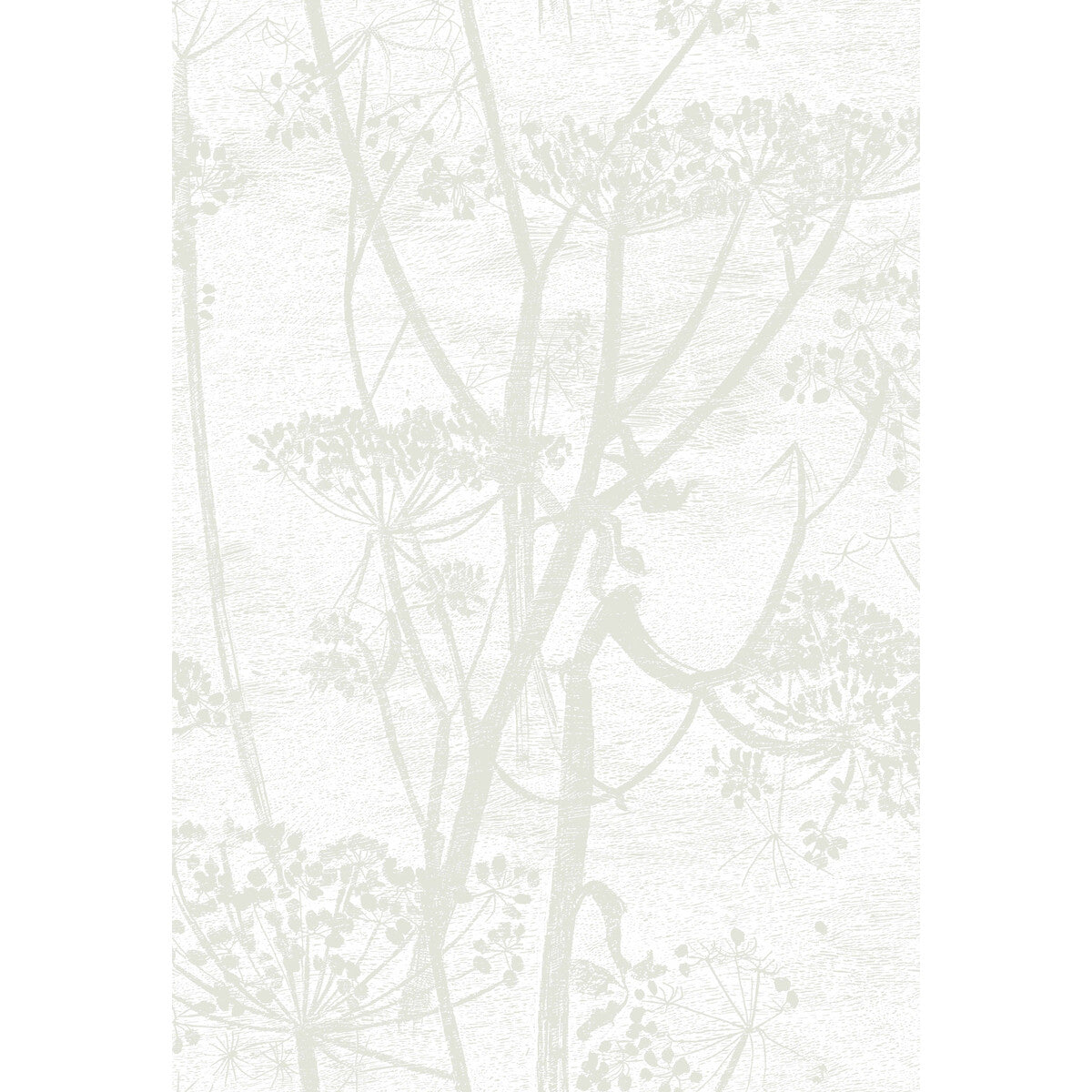 COLE & SON 95/9052.CS.0 COW PARSLEY WHITE Wallpaper - Eade's Wallpaper