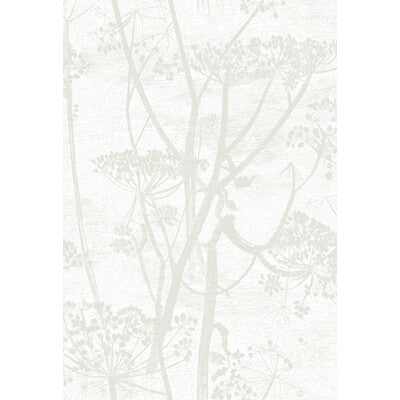 COLE & SON 95/9052.CS.0 COW PARSLEY WHITE Wallpaper - Eade's Wallpaper