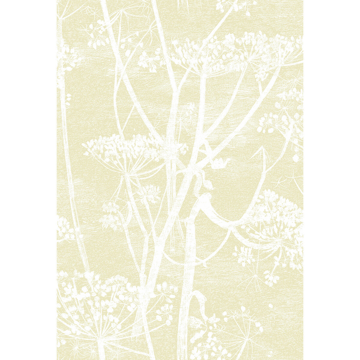 COLE & SON 95/9053.CS.0 COW PARSLEY STRAW/WHITE Wallpaper - Eade's Wallpaper