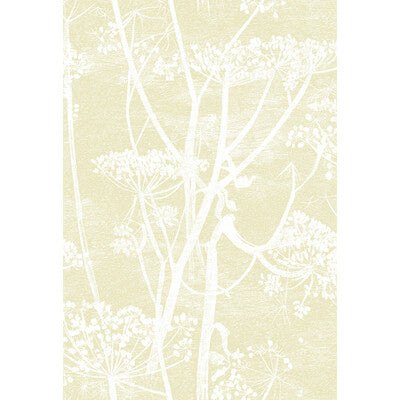 COLE & SON 95/9053.CS.0 COW PARSLEY STRAW/WHITE Wallpaper - Eade's Wallpaper