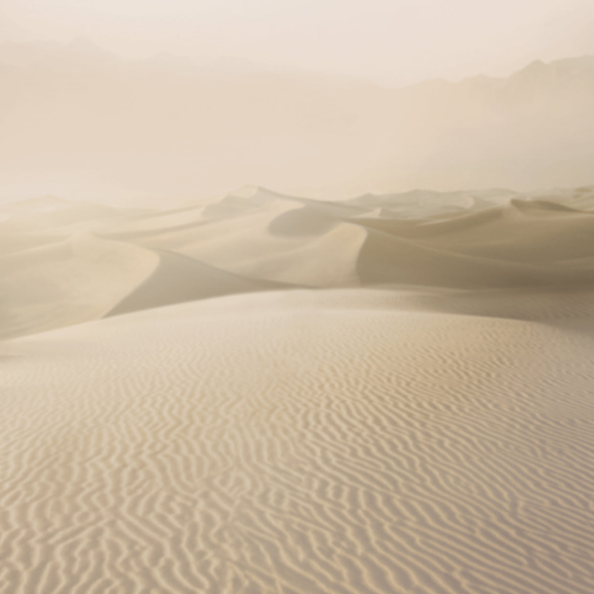 Armani GIBRAN MURAL 9920 in Rosy Beige Mural - INSPIRED MOOD