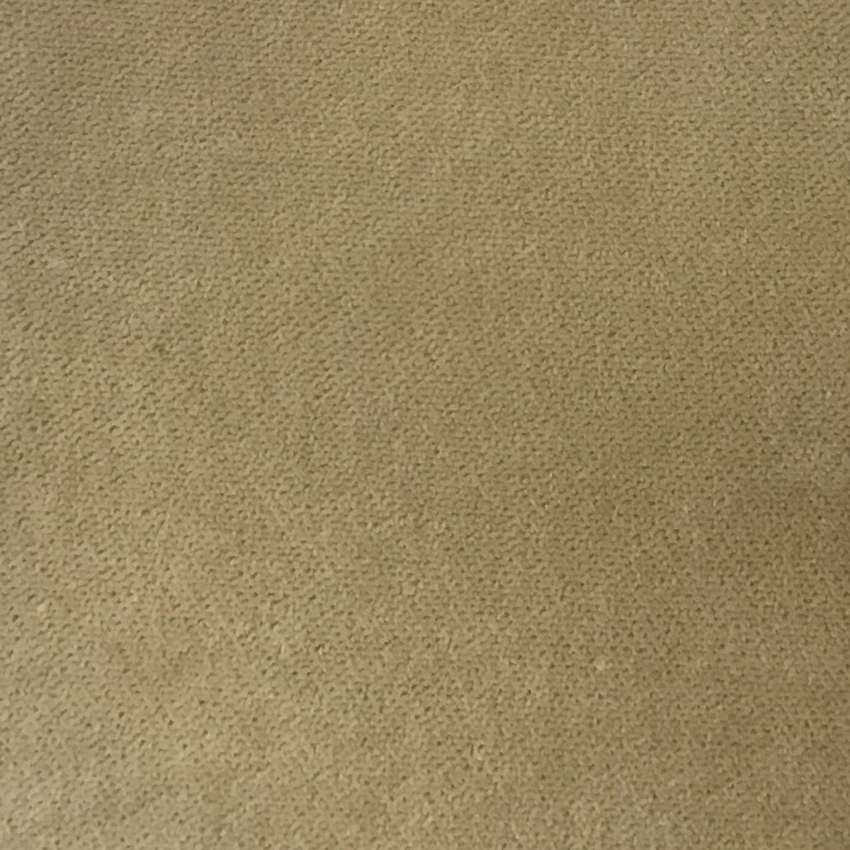 Schumacher Hospitality Olympic Velvet Gobi Fabric