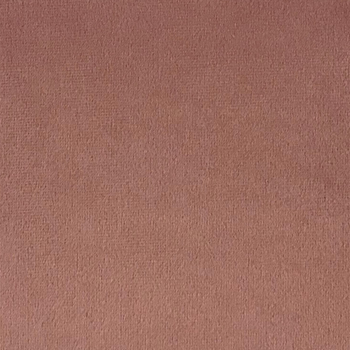 Schumacher Hospitality Venus Velvet Rosy Fabric