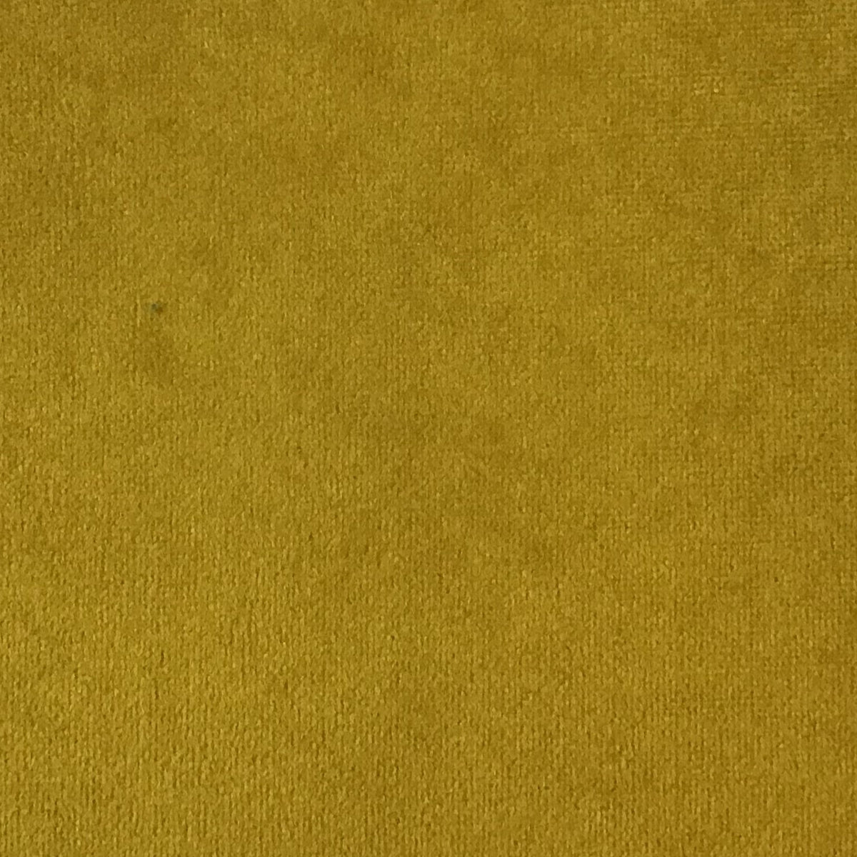 Schumacher Hospitality Venus Velvet Golden Fabric