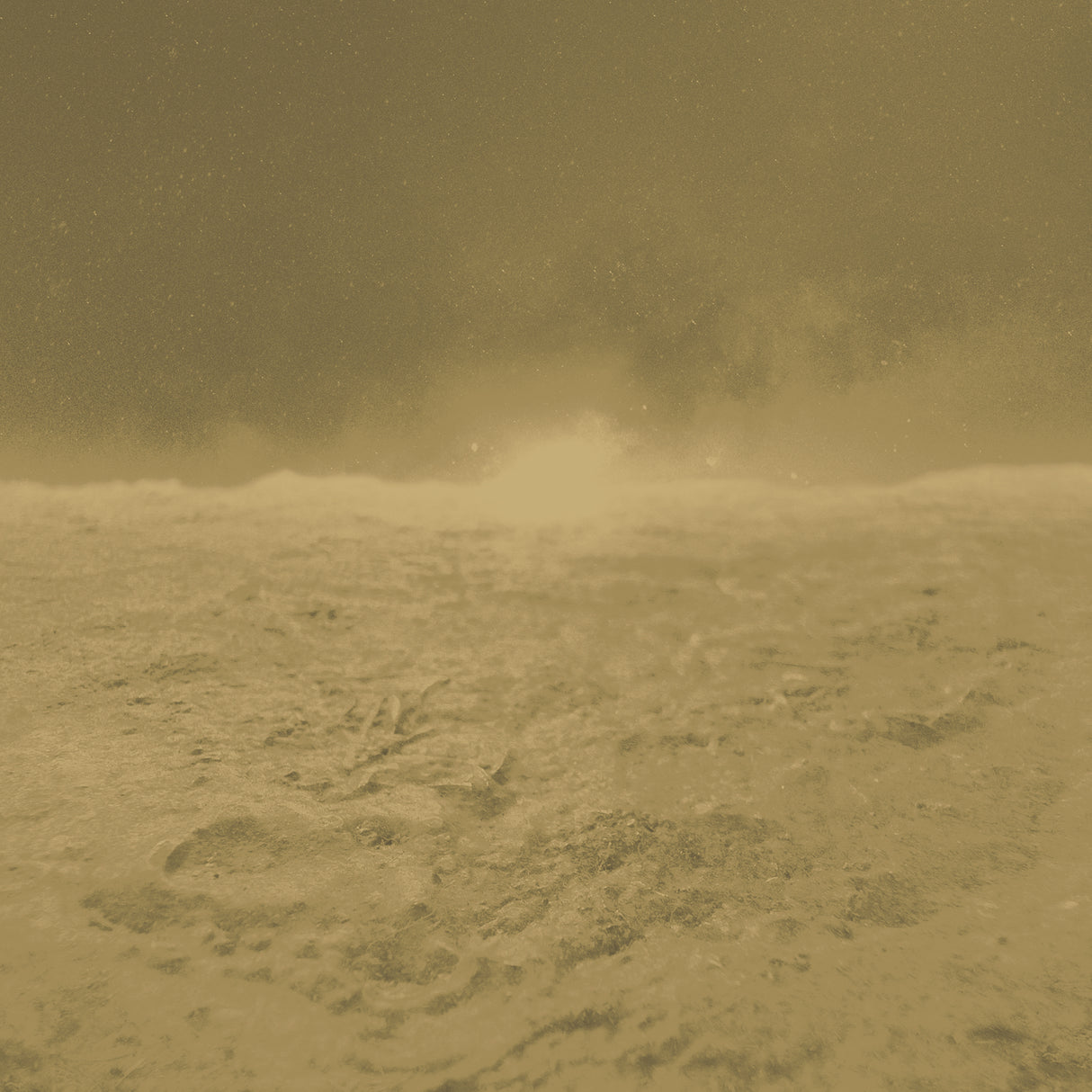 Armani LEOPARDI MURAL 9970 in Gold Mural - INSPIRED MOODS