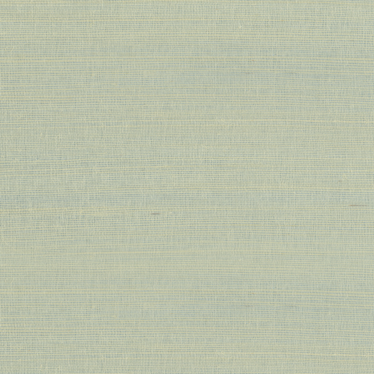 Armani RAFIA PLAIN 9980 in Light Green Wallpaper - INSPIRED