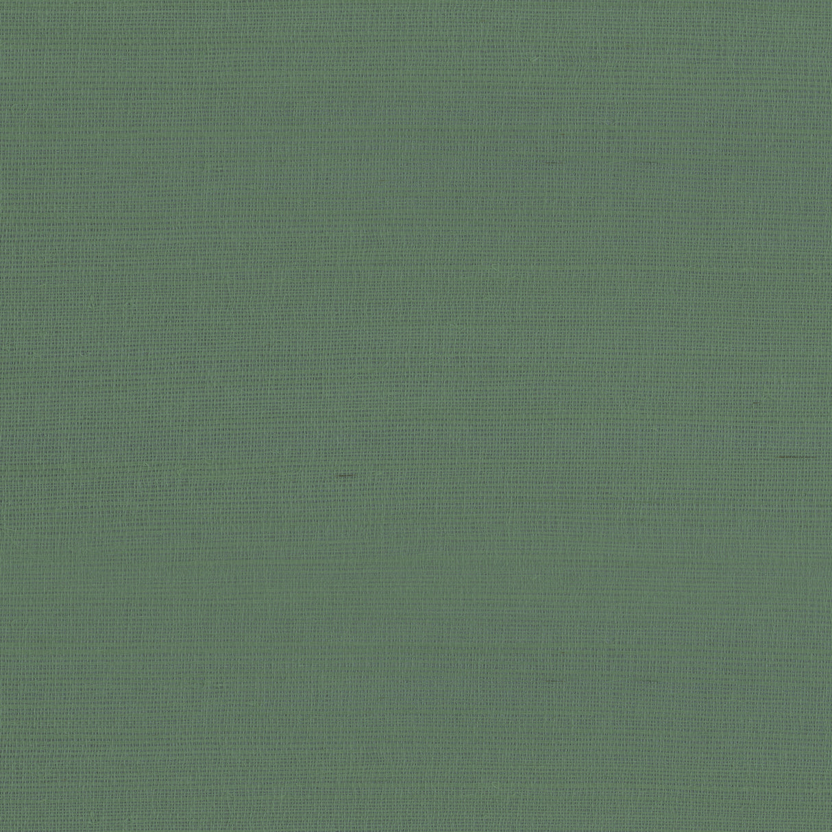 Armani RAFIA PLAIN 9981 in Green Wallpaper - INSPIRED MOODS