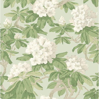 COLE & SON 99/4022.CS.0 BOURLIE DUCK EGG Wallpaper - Eade's Wallpaper