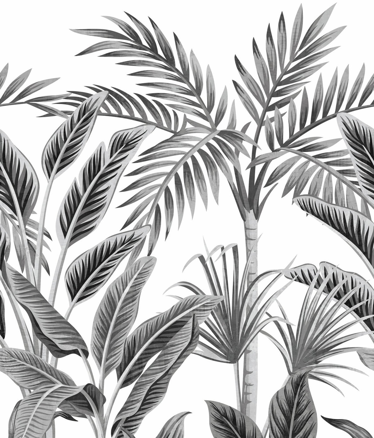 Galerie Orom II Branched Leaves Motive Black Mural A40801