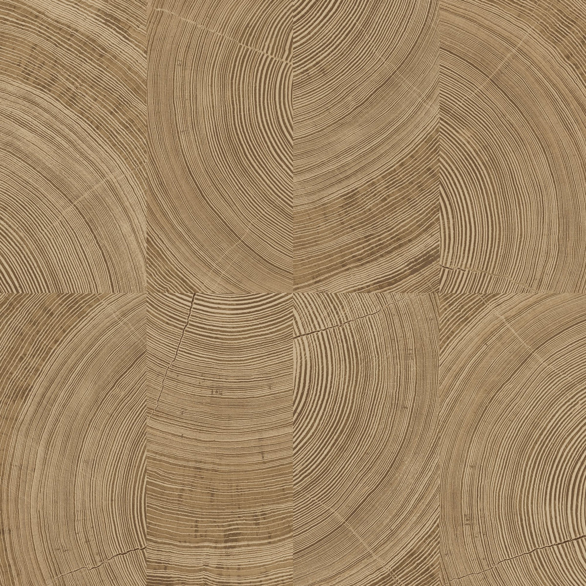 Galerie Karuna Photographic Motive Brown Wallpaper KRA69102