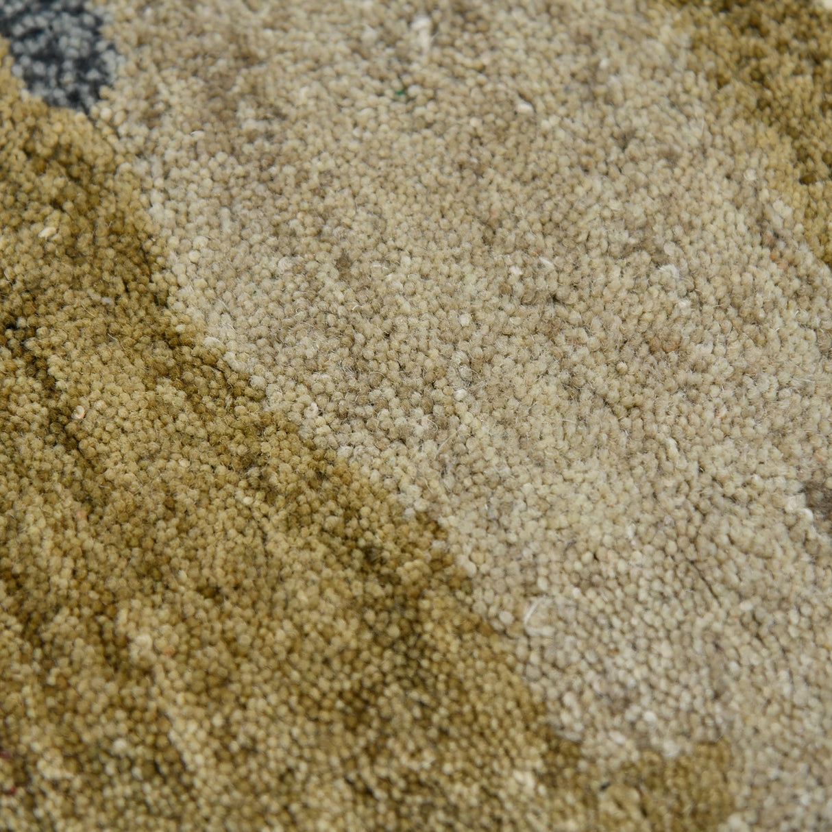 Amer Rugs ABS-5 Abstract Contemporary Area Rug