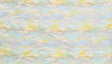 Scalamandre AB 00016640 MINT SKIES Fabric - Eade's Wallpaper