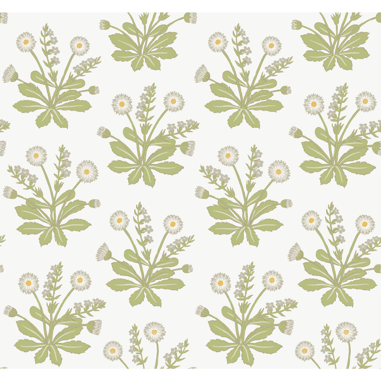 York AC9155 Meadow Flowers White Wallpaper