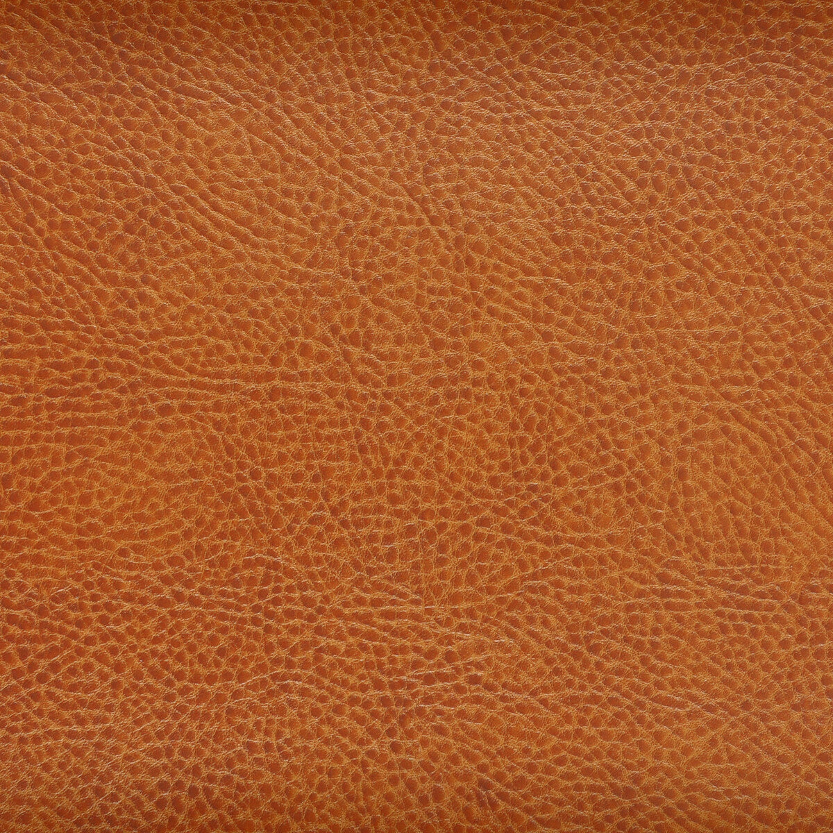 KRAVET DESIGN ACOUSTIC.24.0 KRAVET DESIGN ACOUSTIC-24 Fabric - Eade's Wallpaper