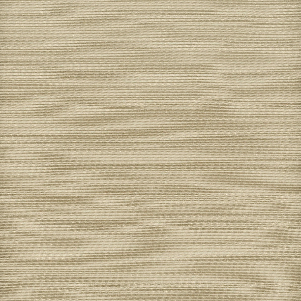 Eade's ADMI-41-sample DRIFTWOOD