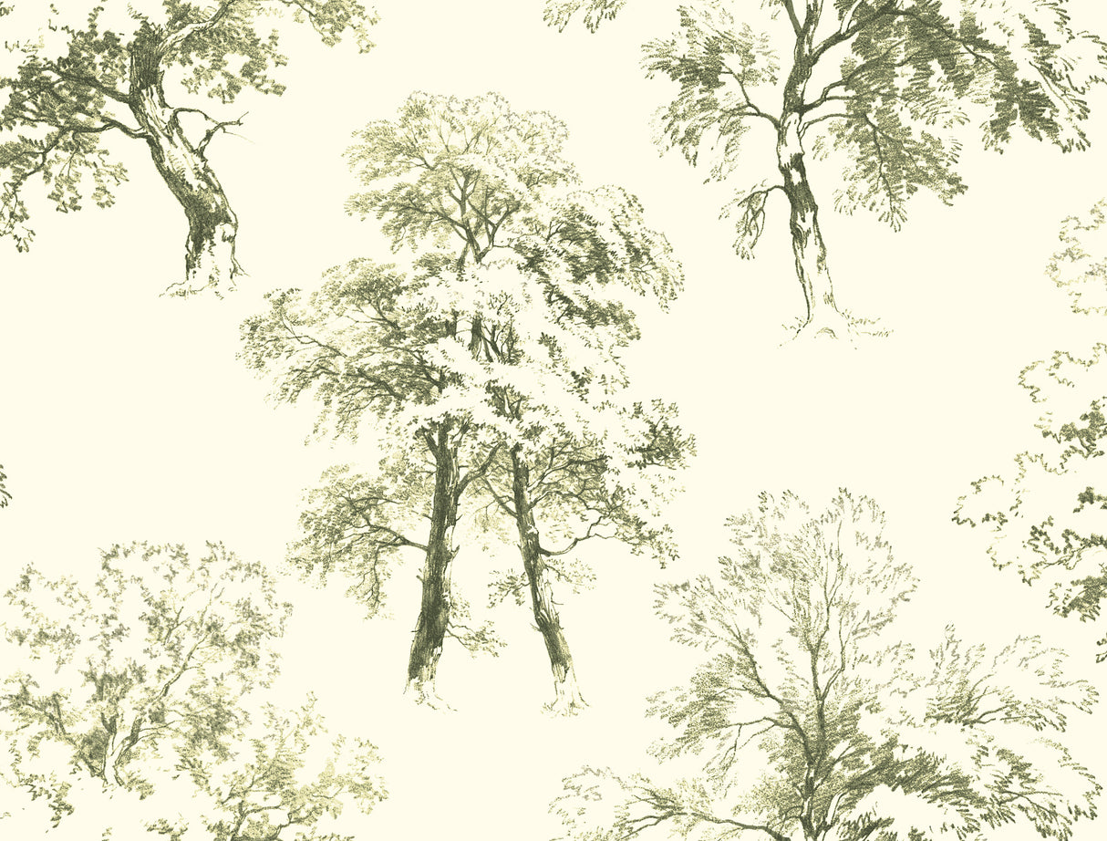 York AF1923 Deciduous Green & White Wallpaper