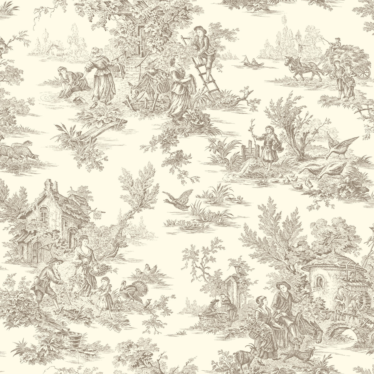 York AF2015 Champagne Brown & White Wallpaper