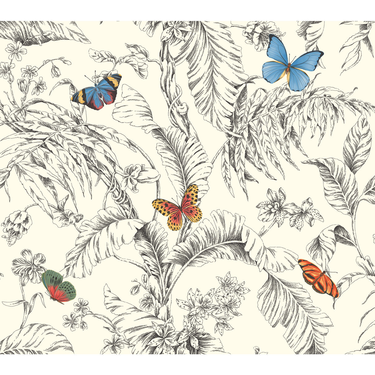 York AF2025 Papillon Primary Wallpaper