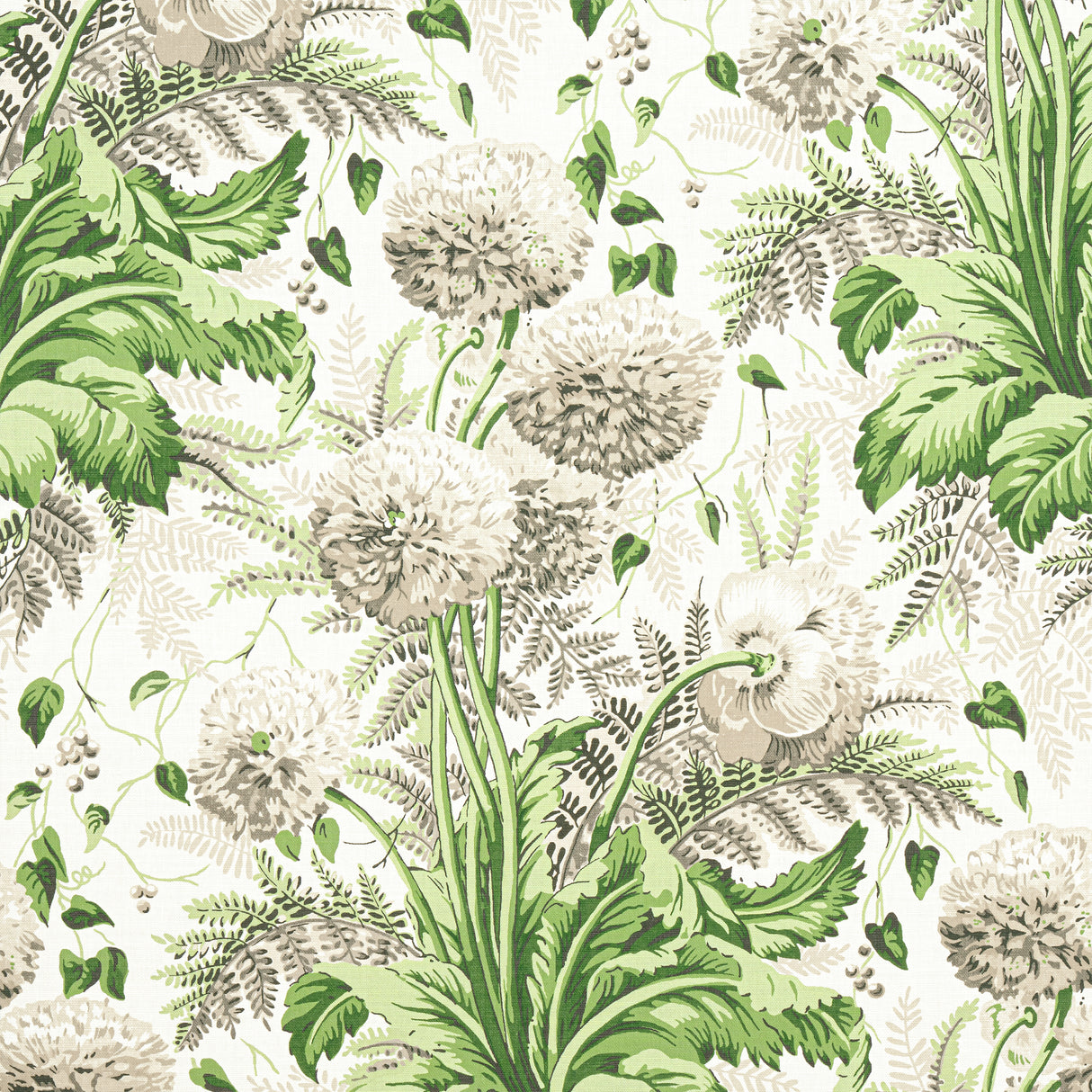 Anna French AF24538 DAHLIA Spring on White Fabric