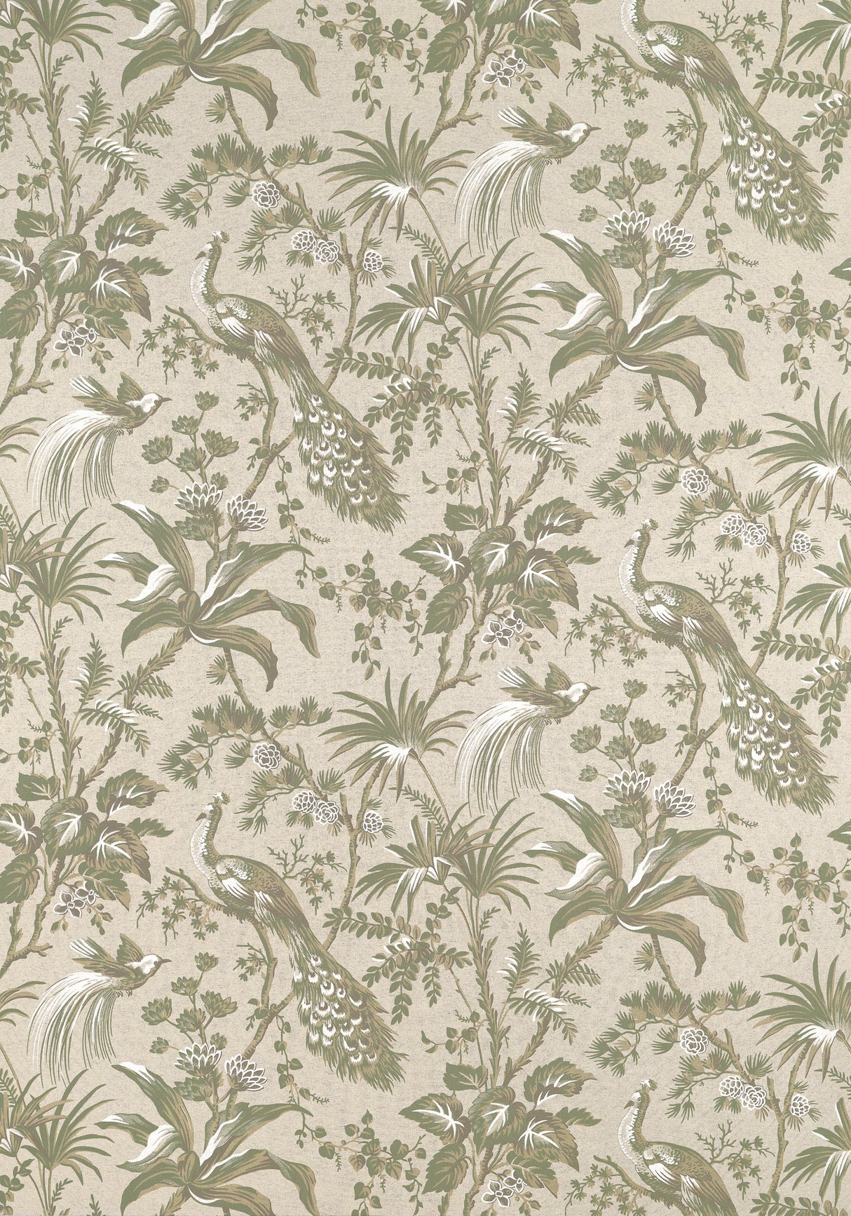 Anna French AF57832 PEACOCK TOILE Green on Natural Fabric