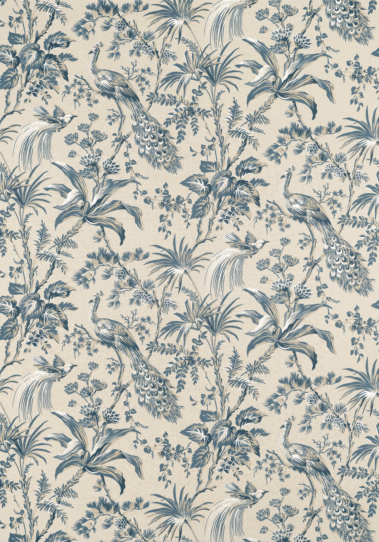 Anna French AF57833 PEACOCK TOILE Slate and Black Fabric