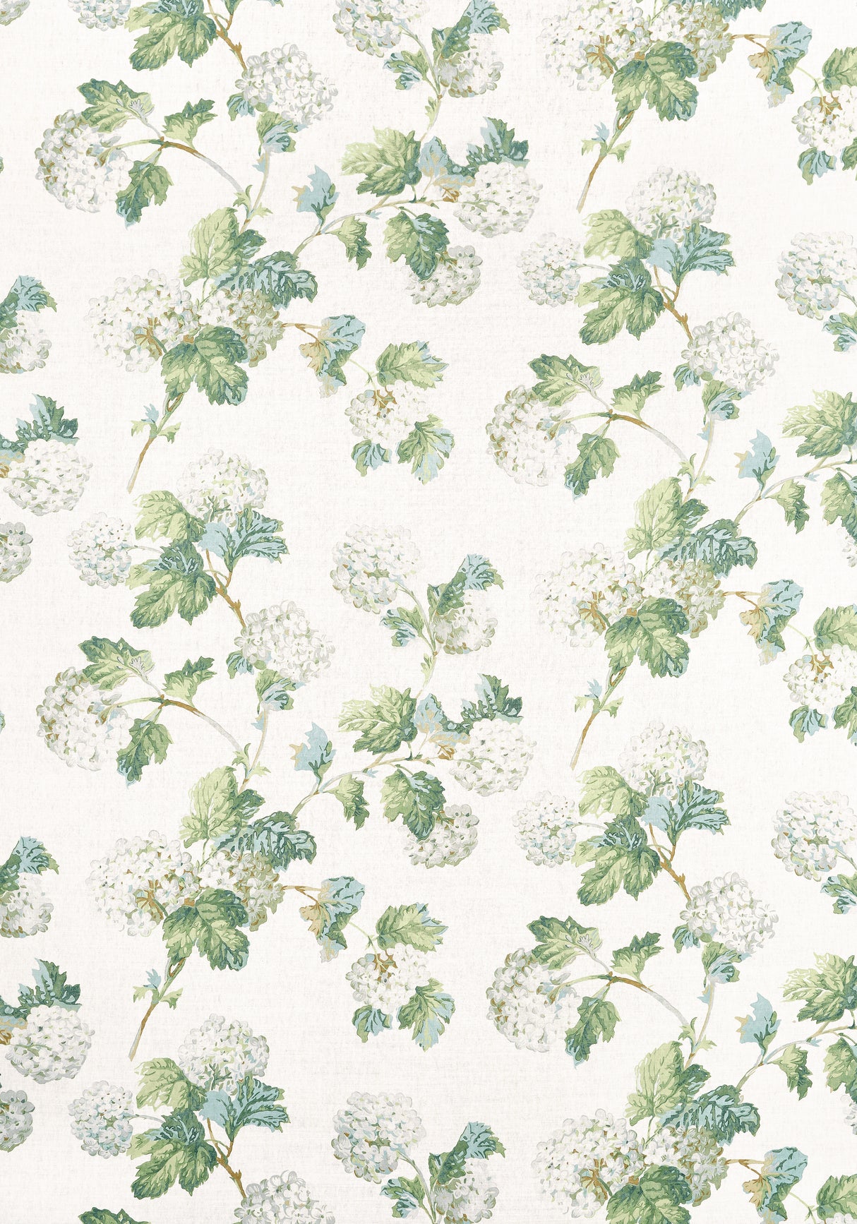 Anna French AF57849 SUSSEX HYDRANGEA White and Green Fabric