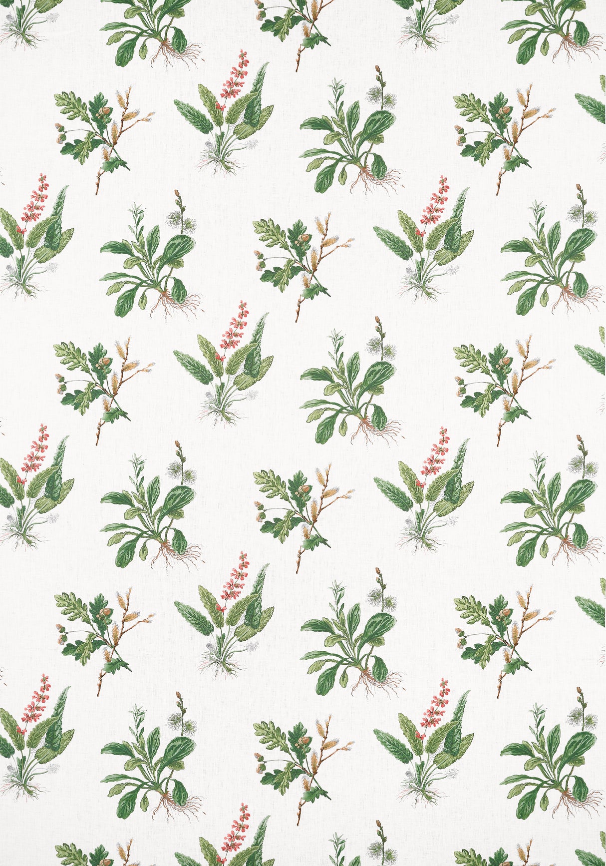 Anna French AF57852 WOODLAND Green and Blush Fabric