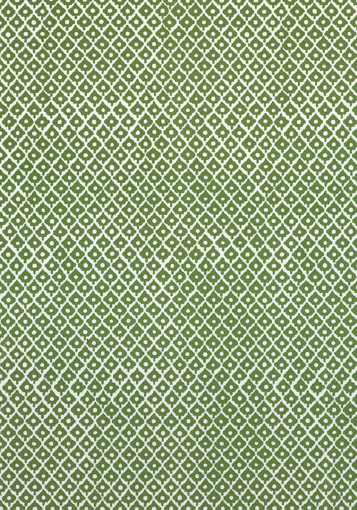 Anna French AF9629 PETIT ARBRE Green on White Fabric