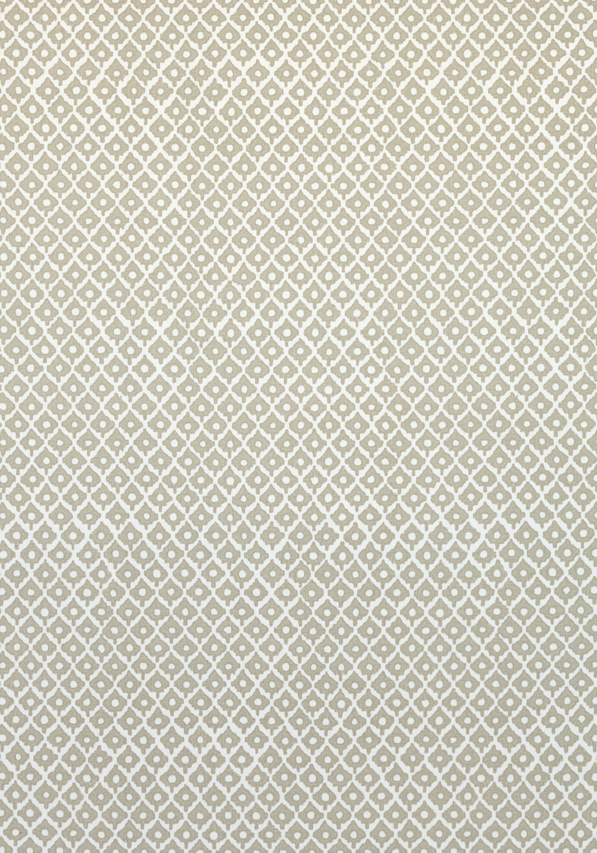 Anna French AF9633 PETIT ARBRE Flax on White Fabric