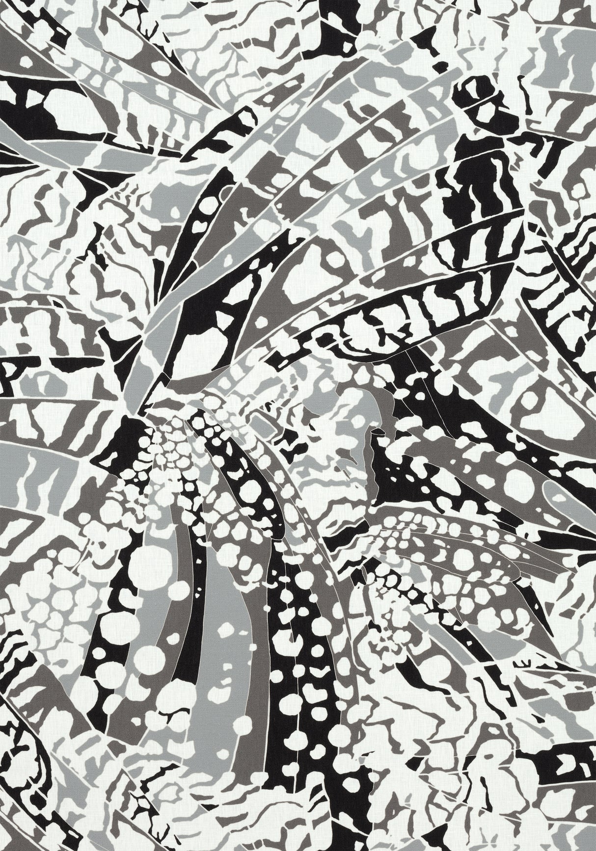 Anna French AF9857 PUCCINI Black Fabric