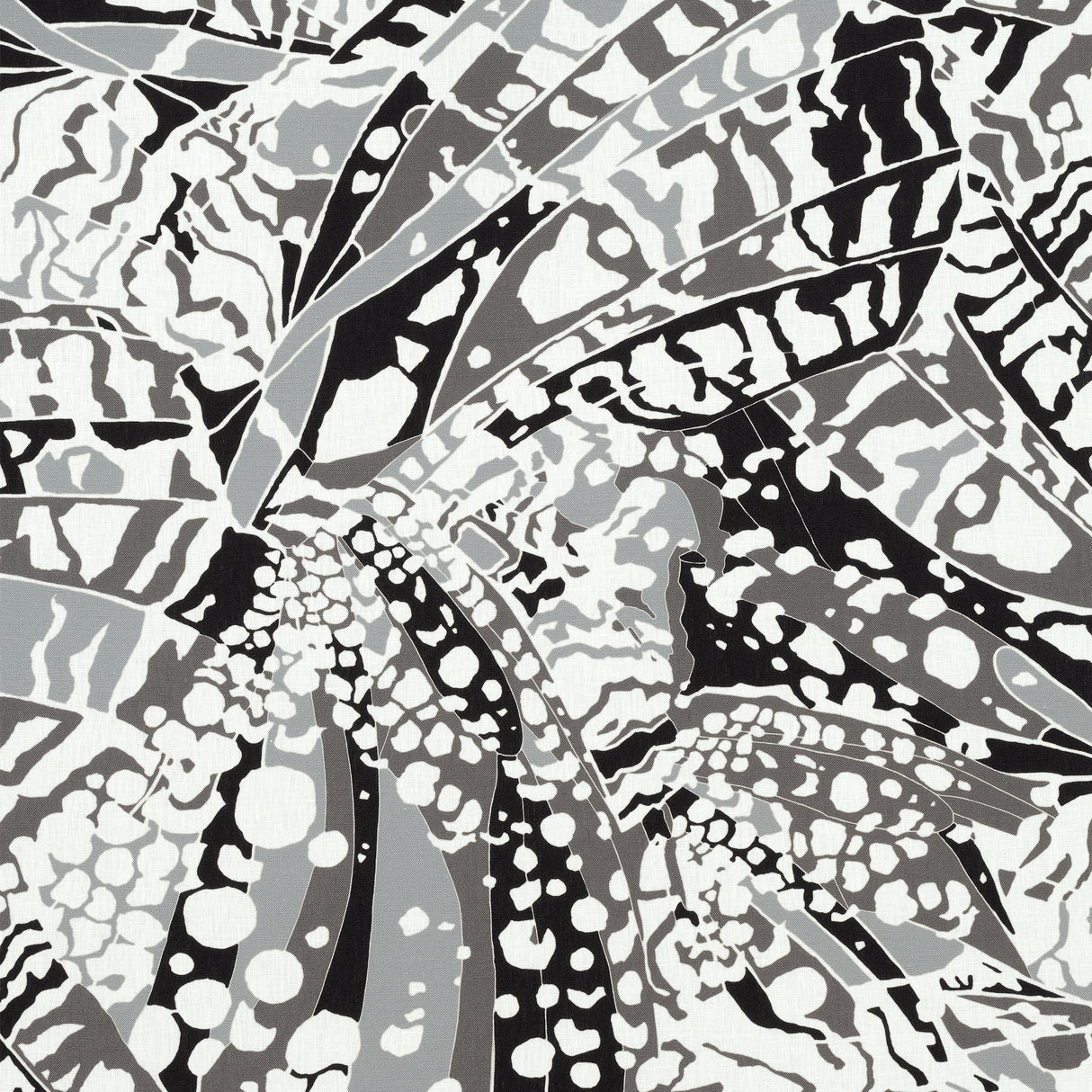 Anna French AF9857 PUCCINI Black Fabric