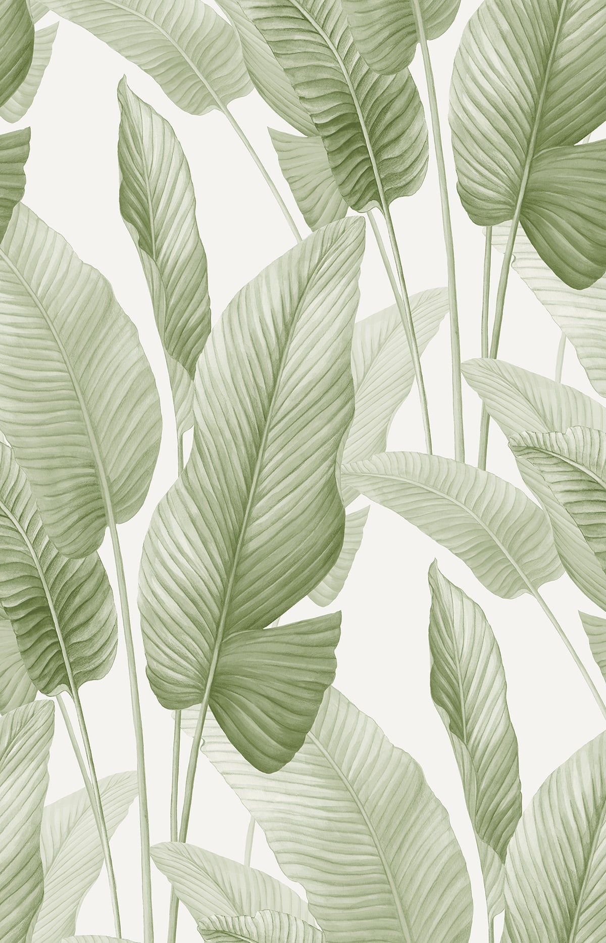 Seabrook Designs AG60004 Mantra Wallpaper