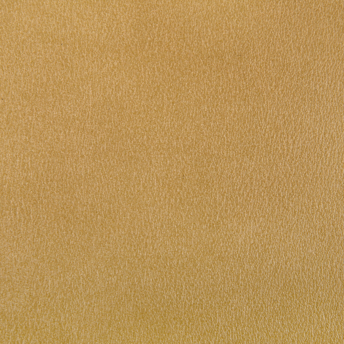 KRAVET CONTRACT AGATHA.40.0 AGATHA GILT Fabric - Eade's Wallpaper