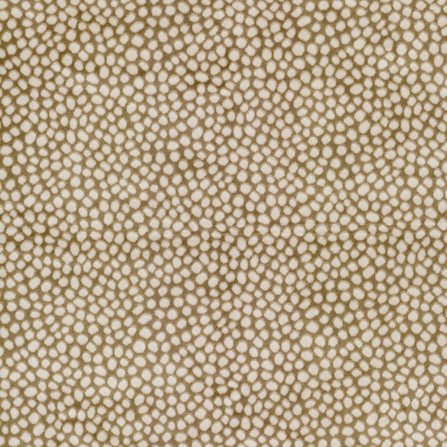 Eade's AKRO-1-sample OAK