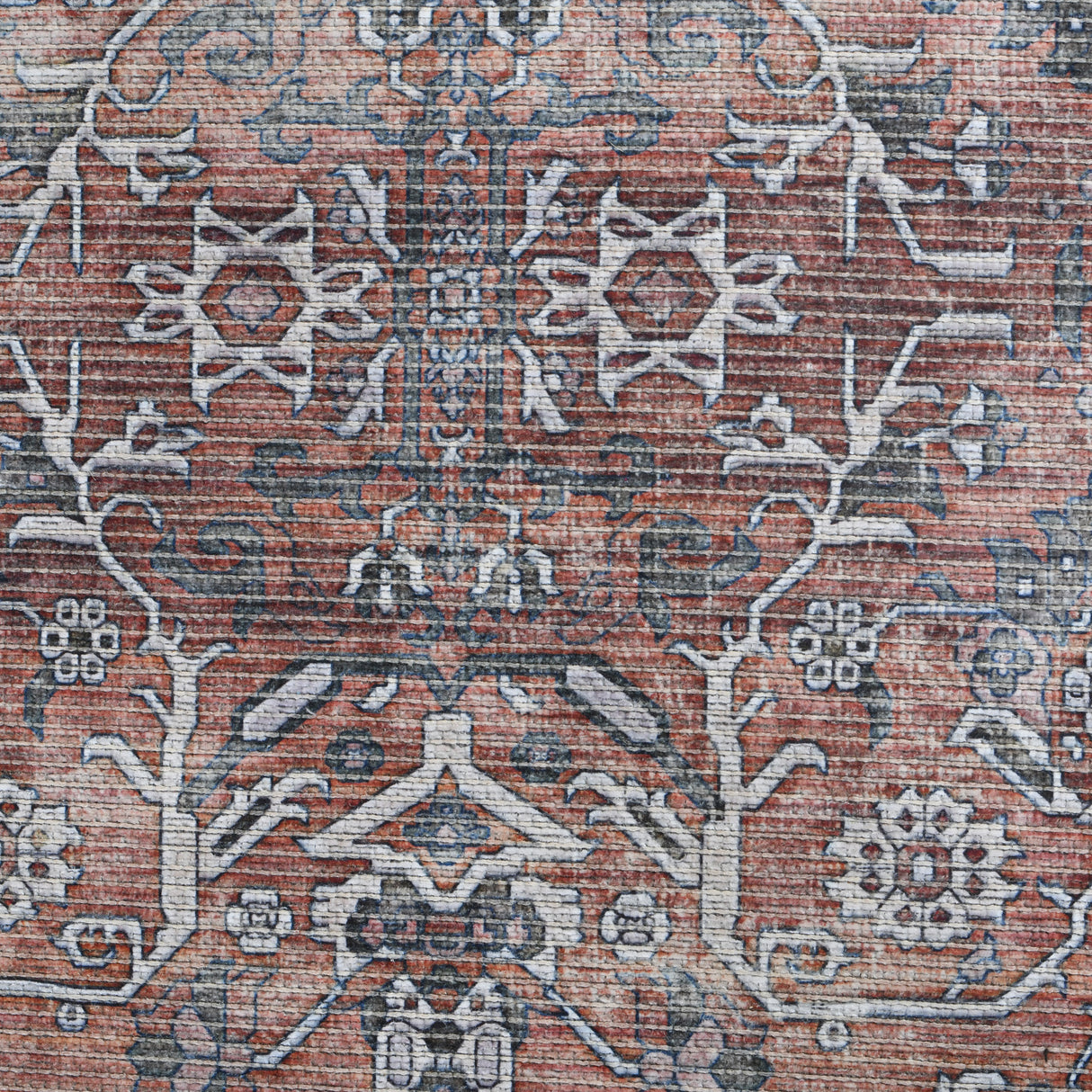 Amer Rugs ALA-4 Alaska Machine-Washable Vintage Medallion Power-Loomed /Gray Area Rug