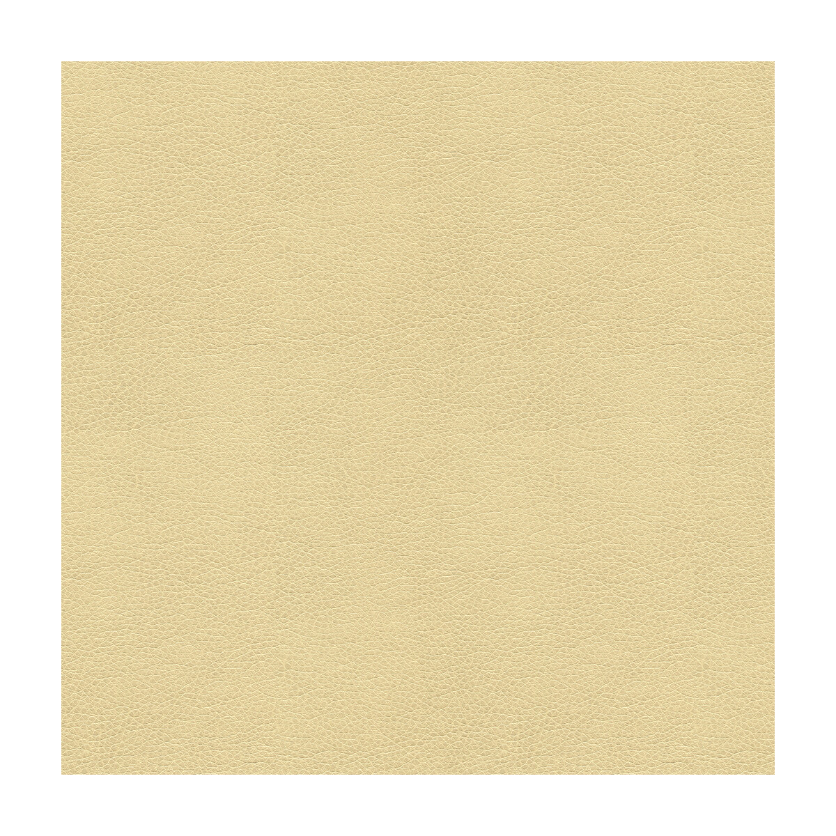 KRAVET SMART ALINA.116.0 KRAVET SMART ALINA-116 Fabric - Eade's Wallpaper