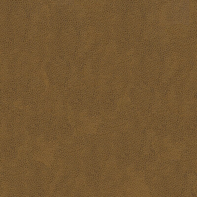 KRAVET SMART ALINA.616.0 KRAVET SMART ALINA-616 Fabric - Eade's Wallpaper