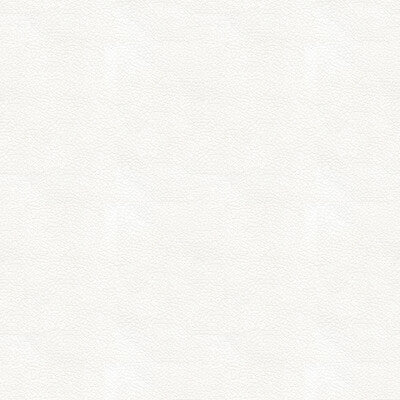 KRAVET DESIGN ALI.101.0 KRAVET DESIGN ALI-101 Fabric - Eade's Wallpaper