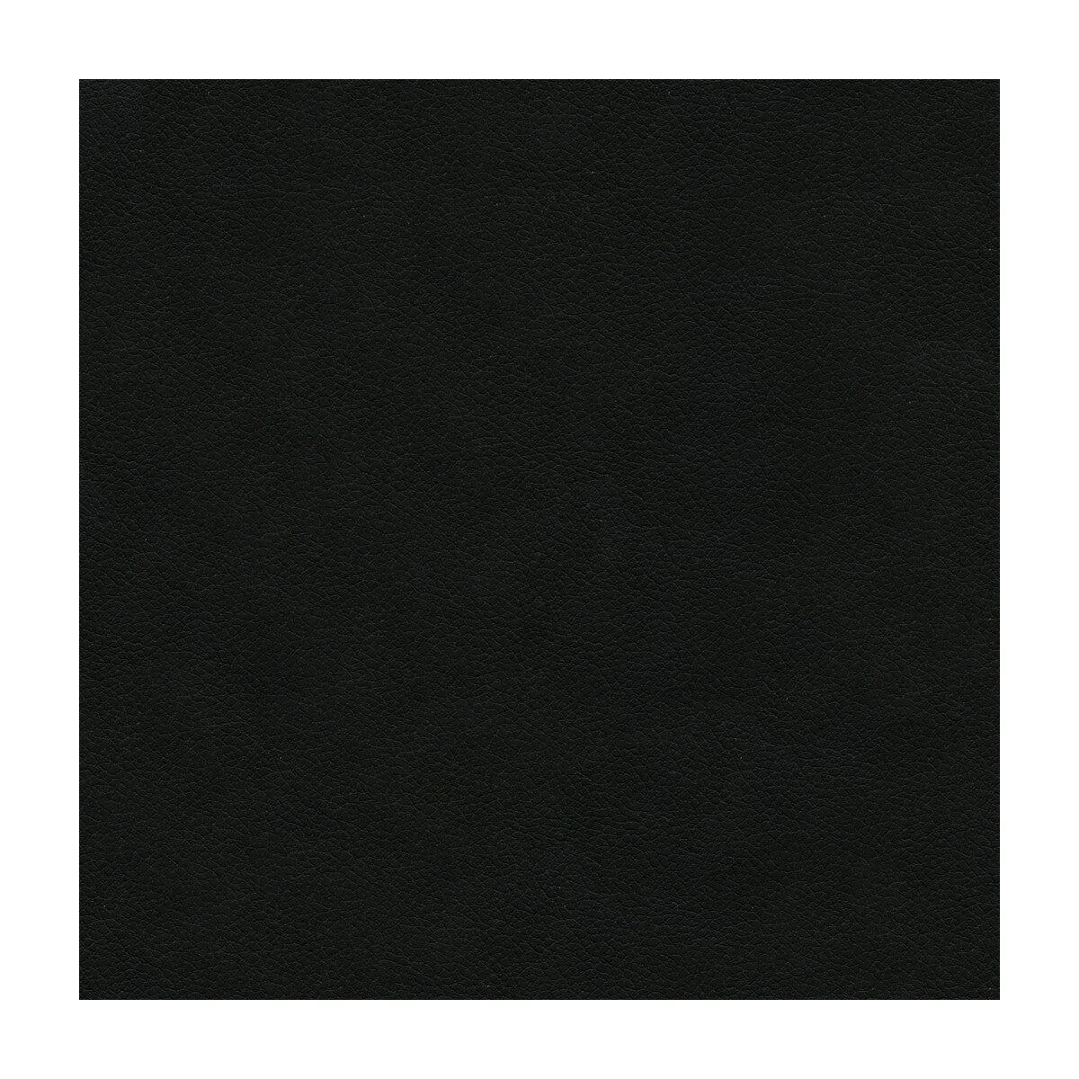 KRAVET DESIGN ALI.8.0 KRAVET DESIGN ALI-8 Fabric - Eade's Wallpaper