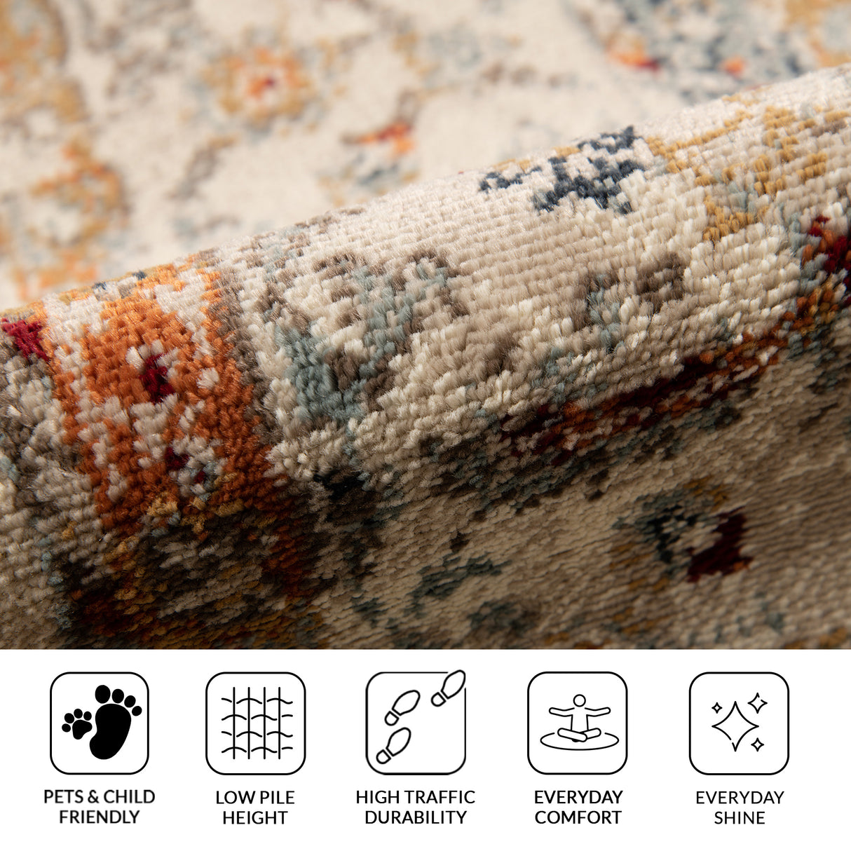 Amer Rugs ALU-5 Allure Classic Bordered /Multi Area Rug