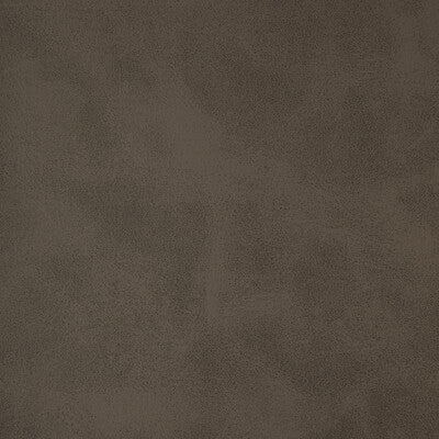 KRAVET DESIGN ALUM.11.0 KRAVET DESIGN ALUM-11 Fabric - FAUX LEATHER IV
