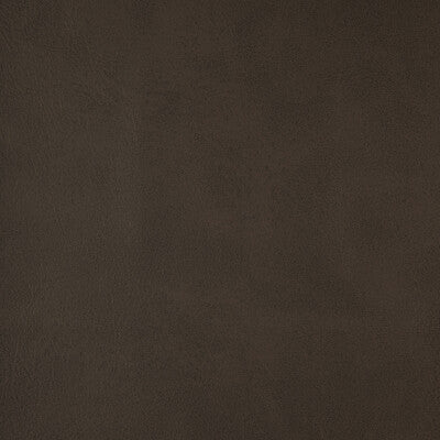 KRAVET DESIGN ALUM.21.0 KRAVET DESIGN ALUM-21 Fabric - FAUX LEATHER IV