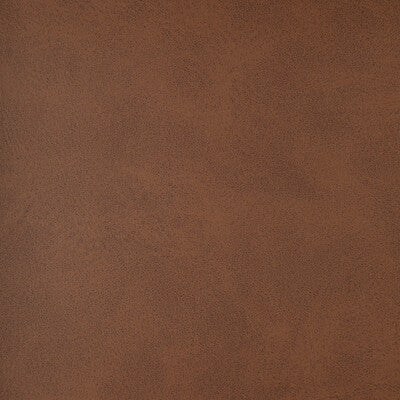 KRAVET DESIGN ALUM.6.0 KRAVET DESIGN ALUM-6 Fabric - FAUX LEATHER IV