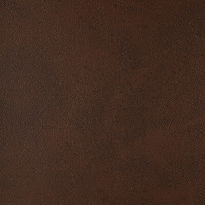 KRAVET DESIGN ALUM.66.0 KRAVET DESIGN ALUM-66 Fabric - FAUX LEATHER IV