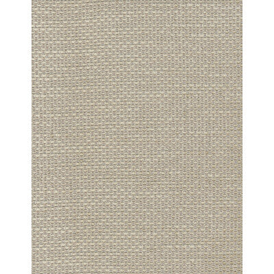 KRAVET COUTURE AM100028.16.0 RICCI NATURAL Fabric - Eade's Wallpaper