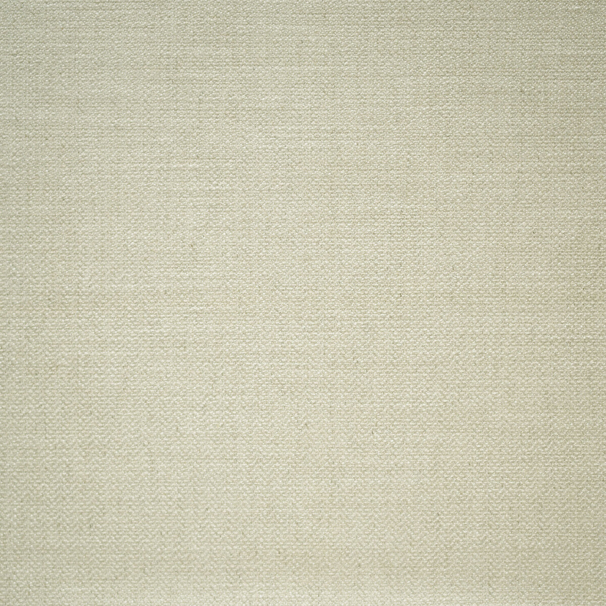 KRAVET COUTURE AM100299.1.0 PARAGGI STRING Fabric - Eade's Wallpaper