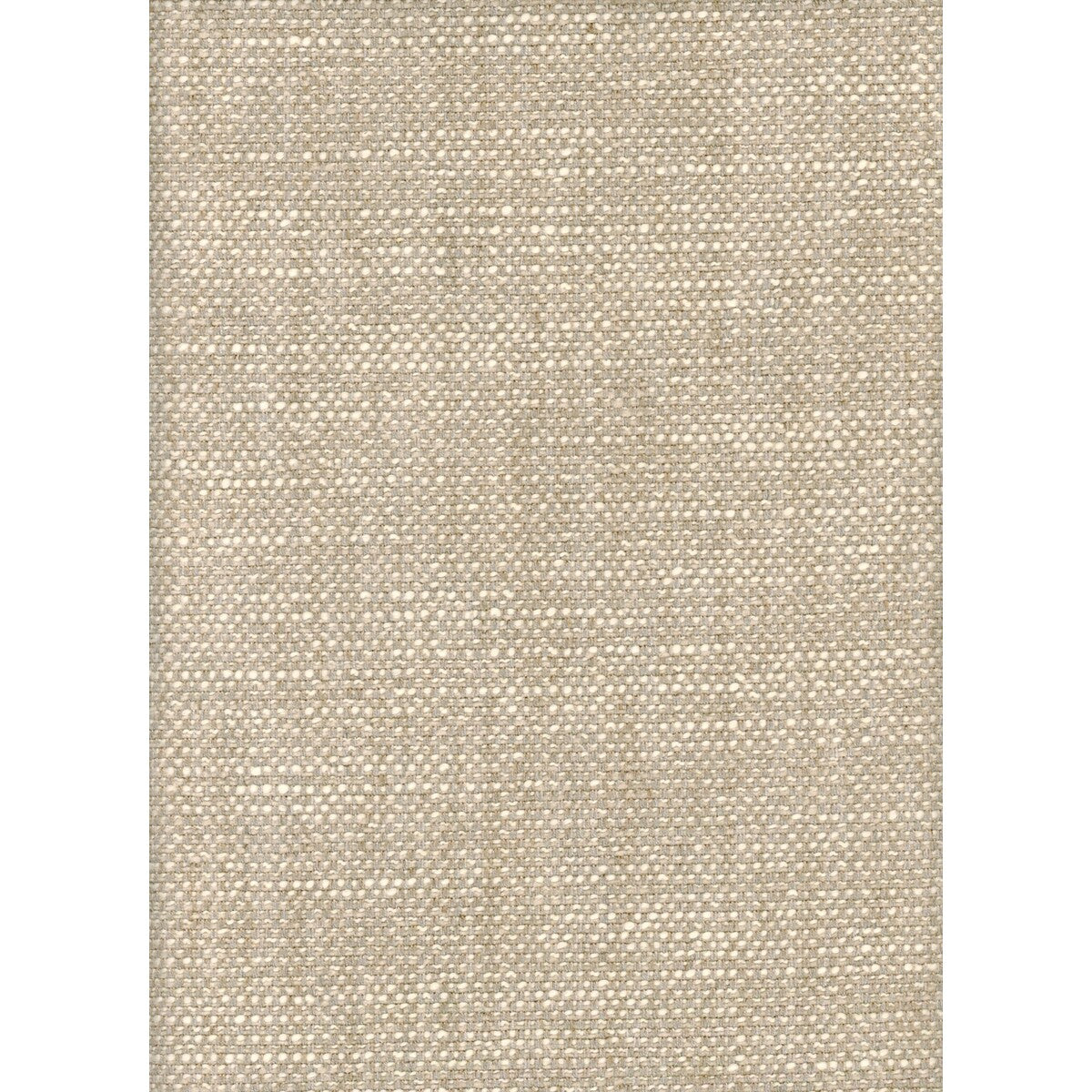 KRAVET COUTURE AM100299.1611.0 PARAGGI OAT Fabric - Eade's Wallpaper