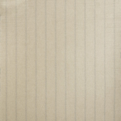 KRAVET COUTURE AM100313.15.0 NILE POWDER Fabric - Eade's Wallpaper