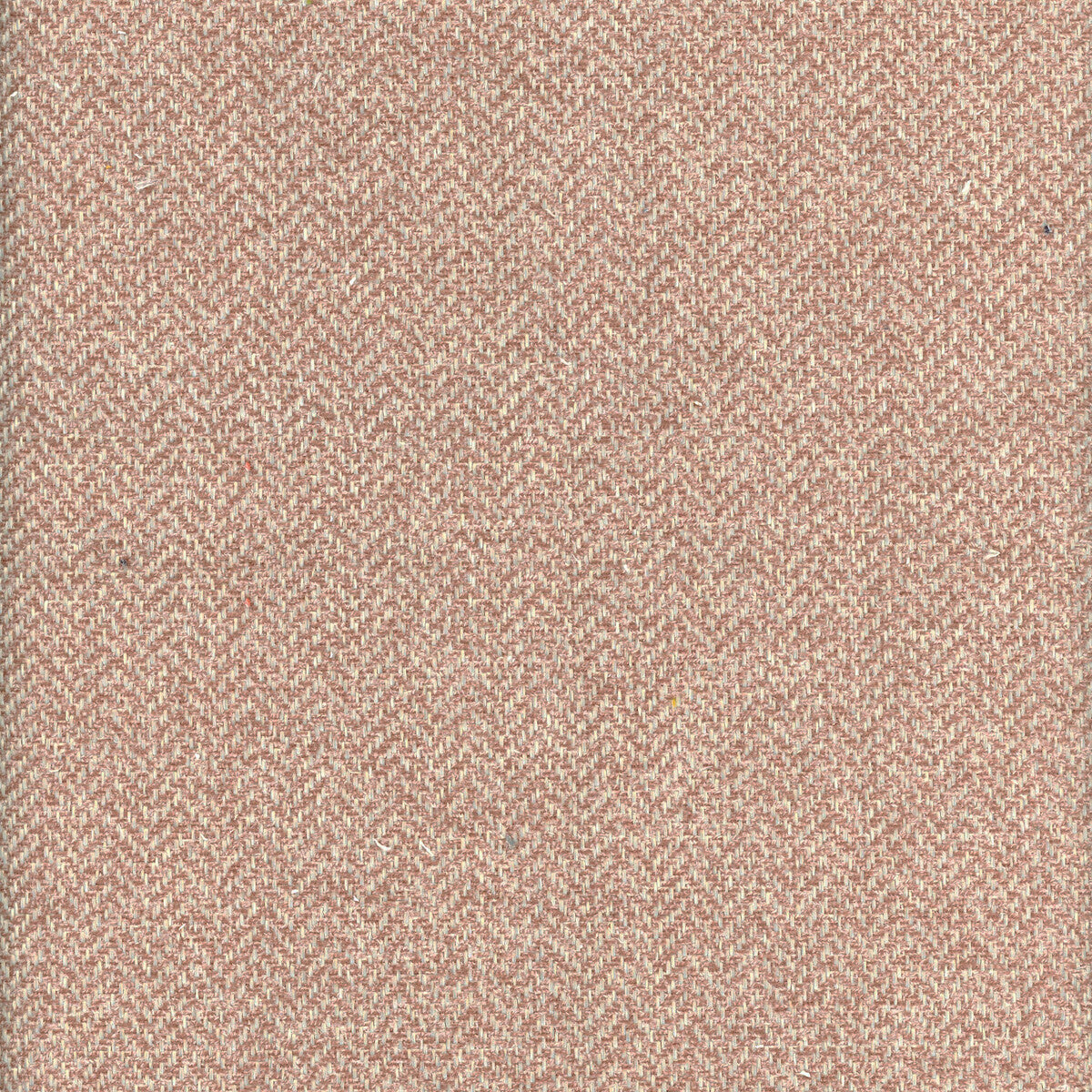 KRAVET COUTURE AM100329.10.0 NEVADA FALCON Fabric - Eade's Wallpaper